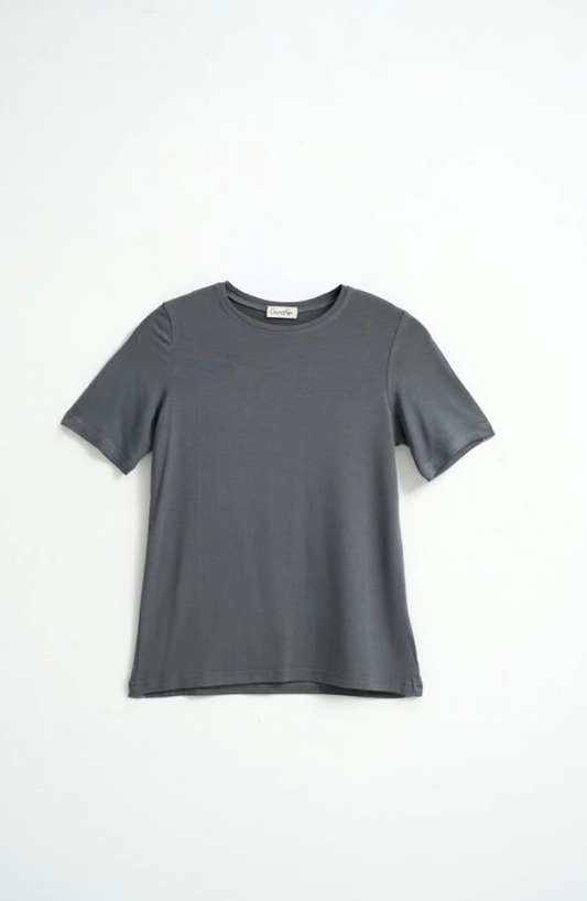 Camani Basic Fitted Top Shortsleeve: Smoke Grey